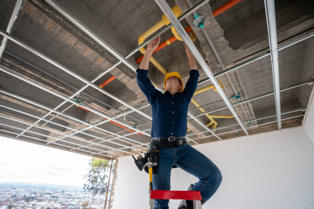 Best Plumbing Repair Near Me  in Hallsville, TX